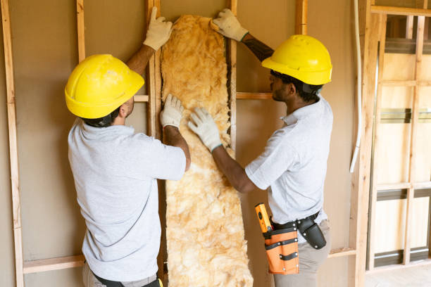 Types of Insulation We Offer in Charlack, MO